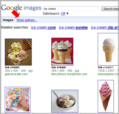 Show Options on Google Image Search