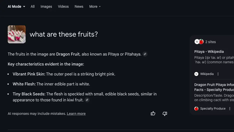 Image Upload in AI Mode