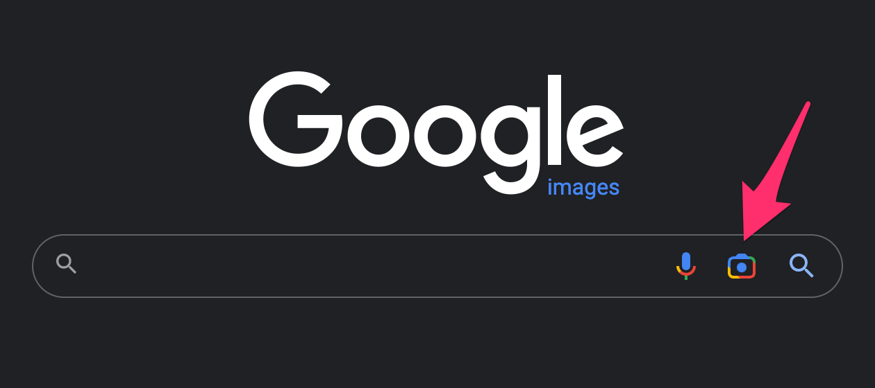 Google Lens on Image Search