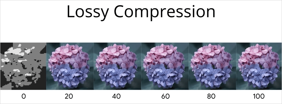 Lossy 圧縮 と画像品質