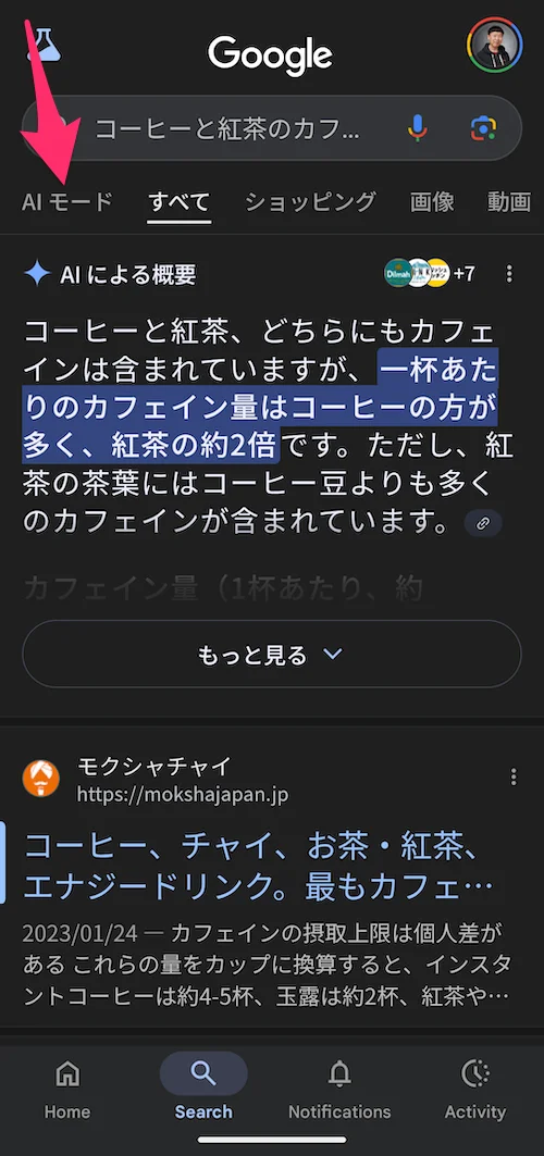 日本語の AI Mode