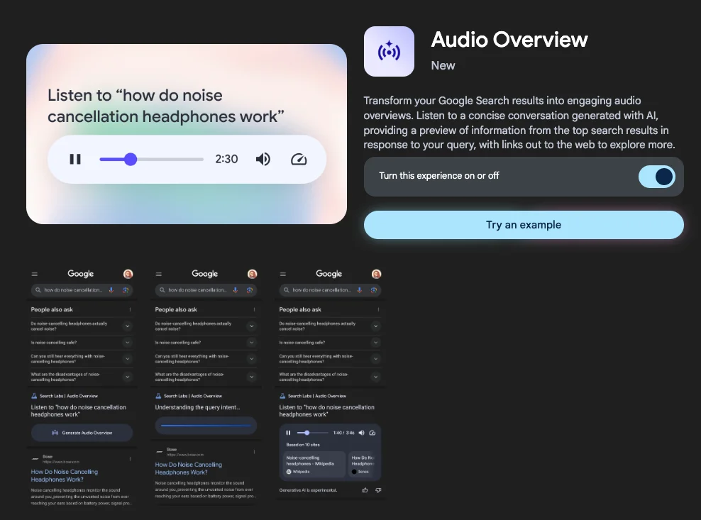 Audio Overview