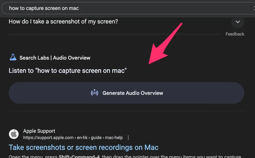 Audio Overview