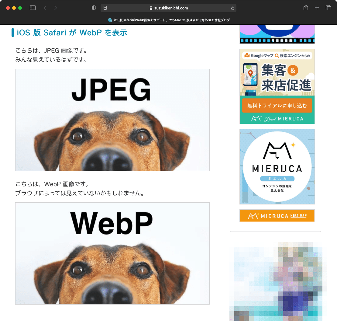 Big Sur の Safari が WebP を表示