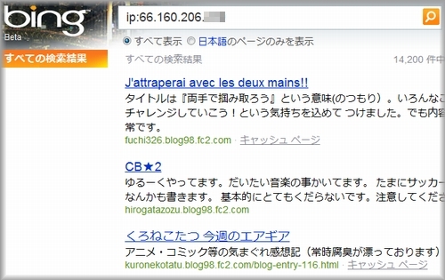 BingでIP検索