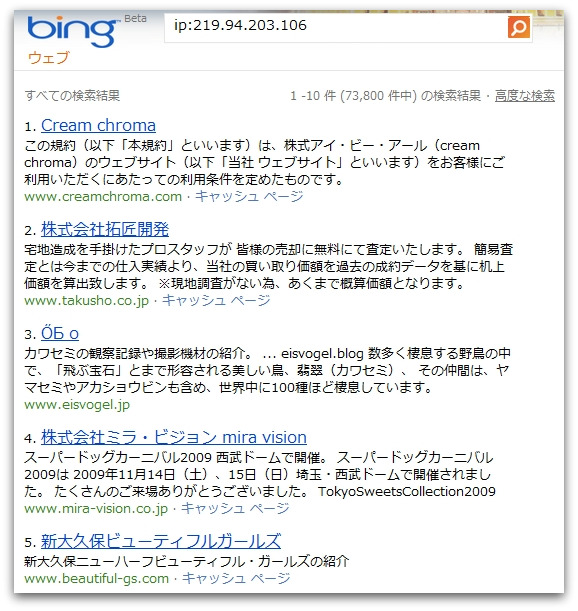 Bingのipコマンド