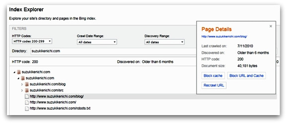 Bing Webmaster ToolsのIndexレポート