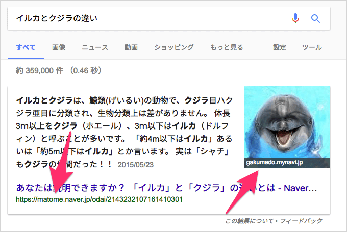 「イルカとクジラの違い」の強調スニペット