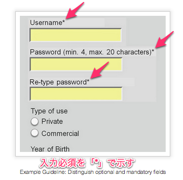 入力必須項目をアスタリスクで示す