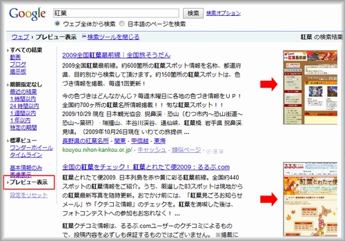 Google検索ツールのプレビュー表示