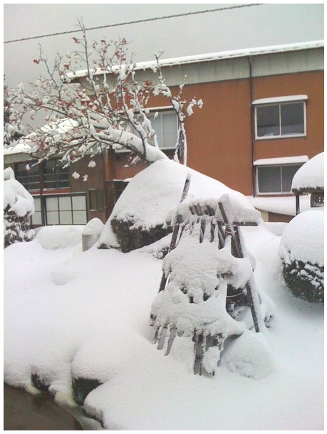 積もった雪