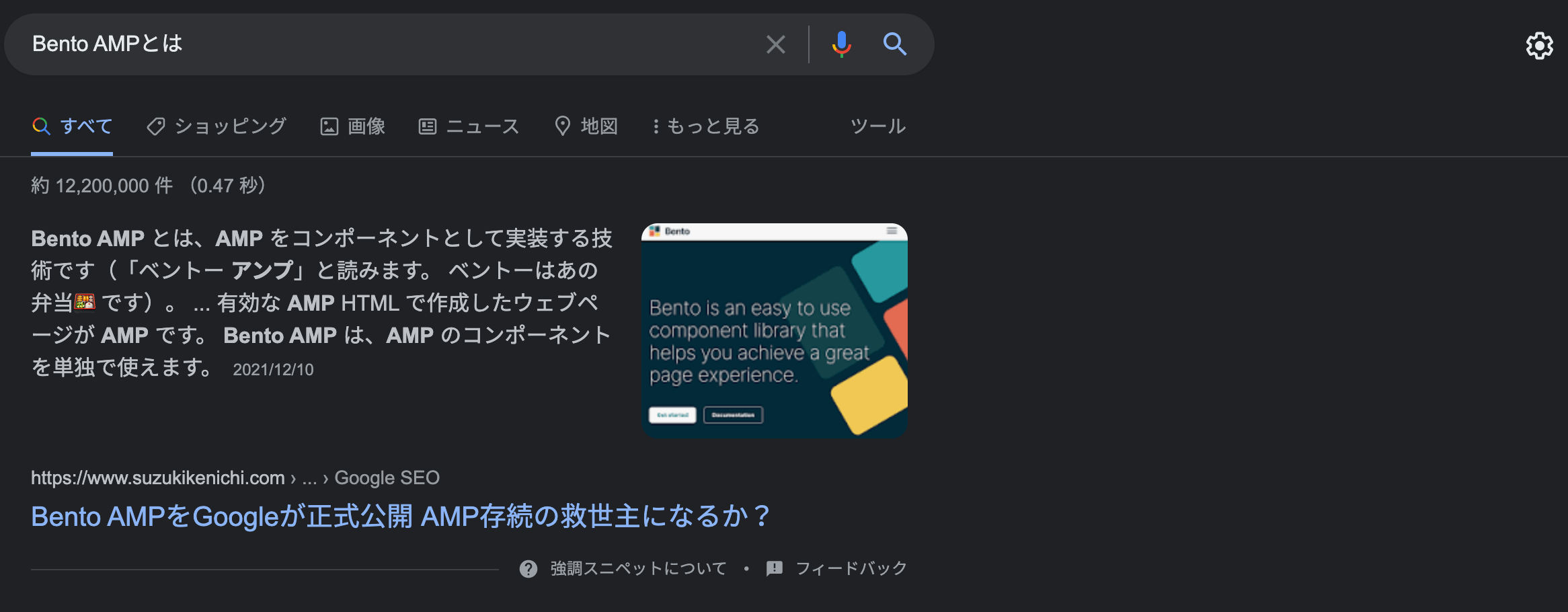 画像が 1 つだけの強調スニペット