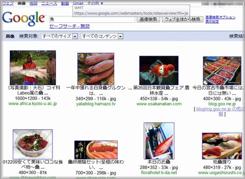Google画像検索でred指定で「魚」を検索