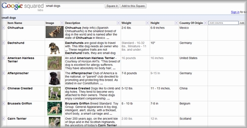 Google Squaredでsmall dogを検索