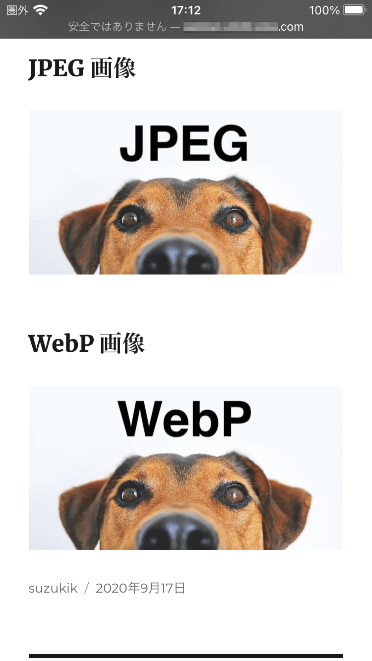 WebP を表示できる iOS 版 Safari 14